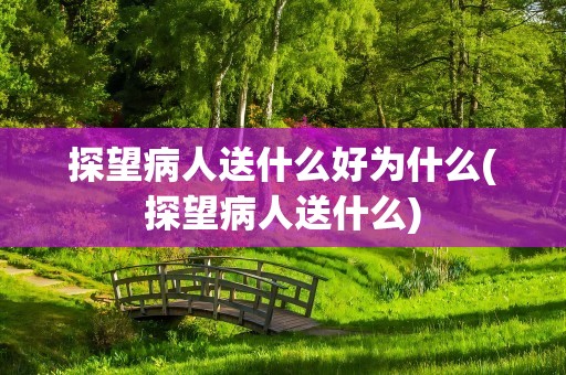 探望病人送什么好为什么(探望病人送什么)