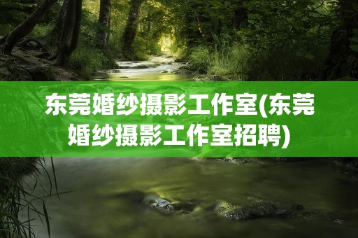 东莞婚纱摄影工作室(东莞婚纱摄影工作室招聘)