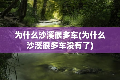 为什么沙溪很多车(为什么沙溪很多车没有了)