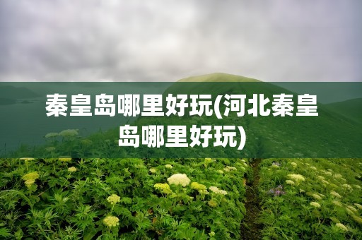 秦皇岛哪里好玩(河北秦皇岛哪里好玩)