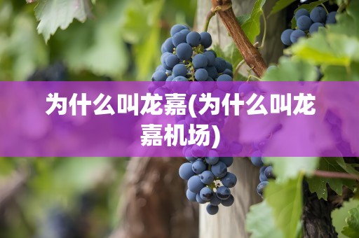 为什么叫龙嘉(为什么叫龙嘉机场)