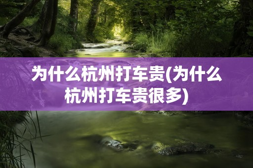 为什么杭州打车贵(为什么杭州打车贵很多)