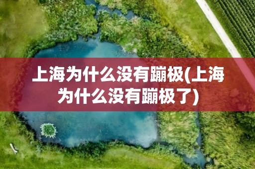 上海为什么没有蹦极(上海为什么没有蹦极了)