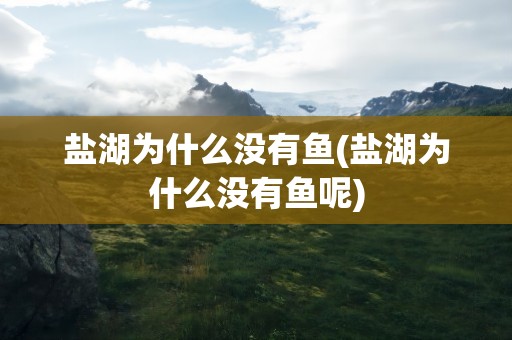 盐湖为什么没有鱼(盐湖为什么没有鱼呢)