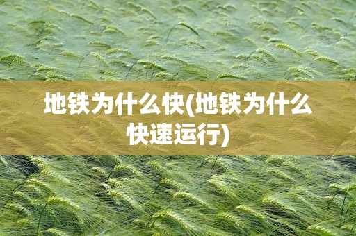 地铁为什么快(地铁为什么快速运行)