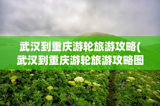 武汉到重庆游轮旅游攻略(武汉到重庆游轮旅游攻略图)