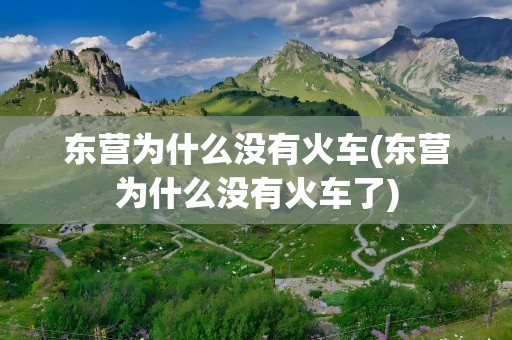 东营为什么没有火车(东营为什么没有火车了)