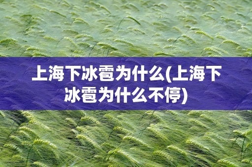 上海下冰雹为什么(上海下冰雹为什么不停)