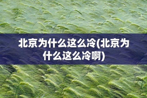 北京为什么这么冷(北京为什么这么冷啊)