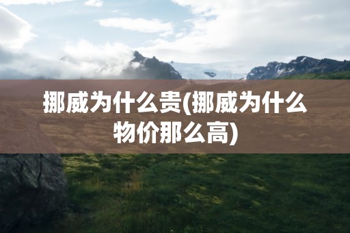 挪威为什么贵(挪威为什么物价那么高)