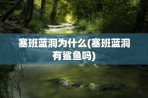 塞班蓝洞为什么(塞班蓝洞有鲨鱼吗)