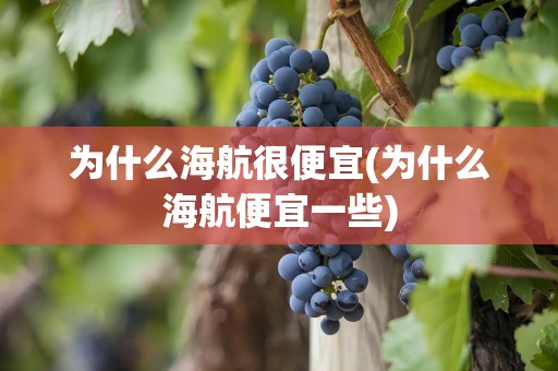 为什么海航很便宜(为什么海航便宜一些)