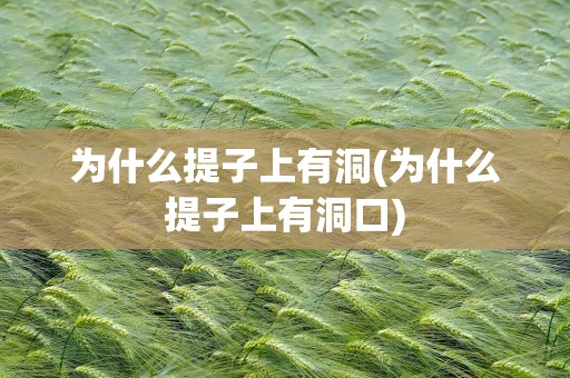 为什么提子上有洞(为什么提子上有洞口)