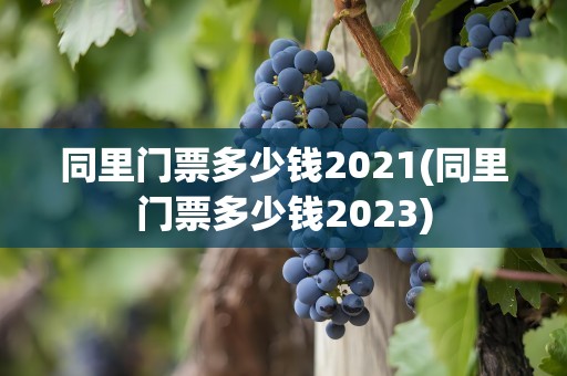 同里门票多少钱2021(同里门票多少钱2023)