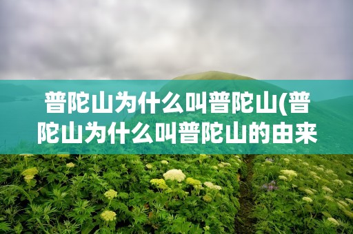 普陀山为什么叫普陀山(普陀山为什么叫普陀山的由来)