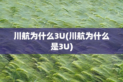 川航为什么3U(川航为什么是3U)