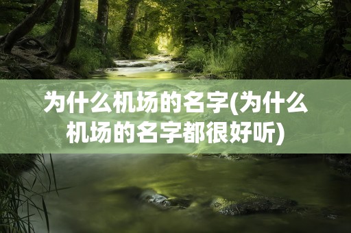 为什么机场的名字(为什么机场的名字都很好听)
