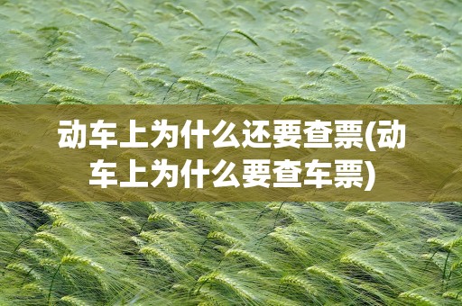 动车上为什么还要查票(动车上为什么要查车票)