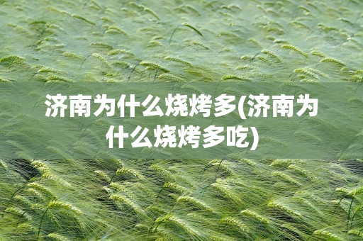 济南为什么烧烤多(济南为什么烧烤多吃)