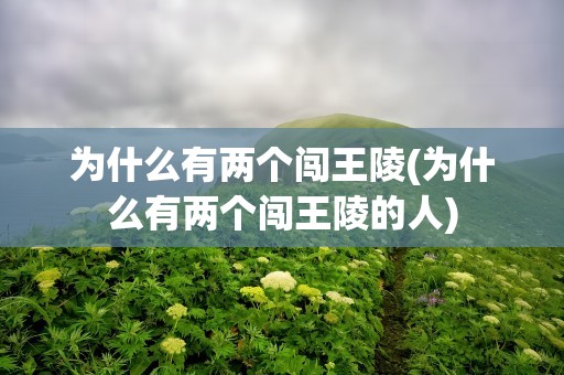 为什么有两个闯王陵(为什么有两个闯王陵的人)
