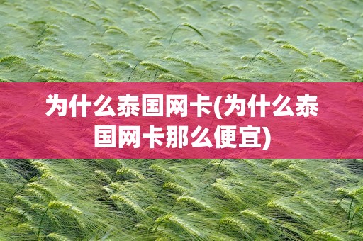 为什么泰国网卡(为什么泰国网卡那么便宜)
