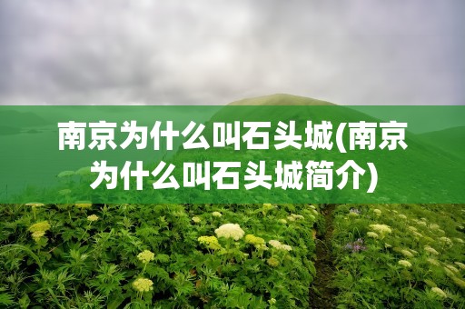 南京为什么叫石头城(南京为什么叫石头城简介)
