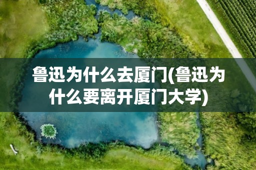 鲁迅为什么去厦门(鲁迅为什么要离开厦门大学)