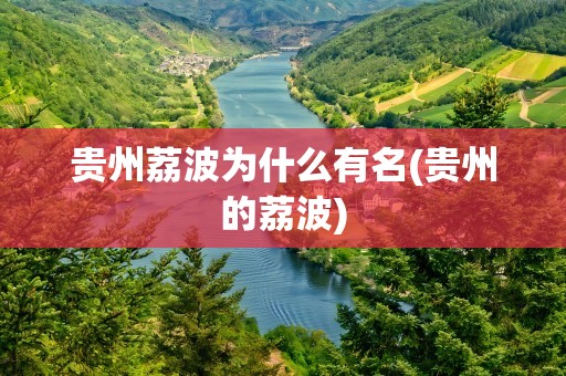 贵州荔波为什么有名(贵州的荔波)