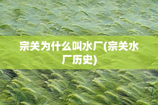 宗关为什么叫水厂(宗关水厂历史)