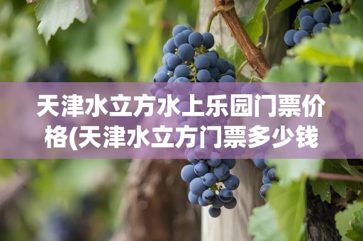 天津水立方水上乐园门票价格(天津水立方门票多少钱)