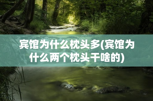 宾馆为什么枕头多(宾馆为什么两个枕头干啥的)