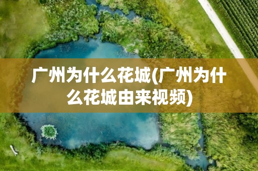 广州为什么花城(广州为什么花城由来视频)