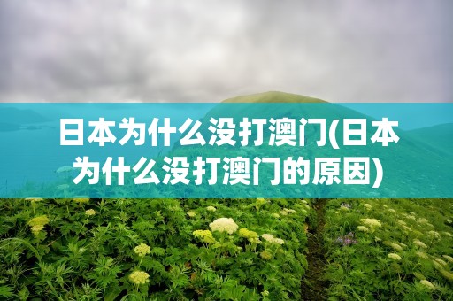 日本为什么没打澳门(日本为什么没打澳门的原因)