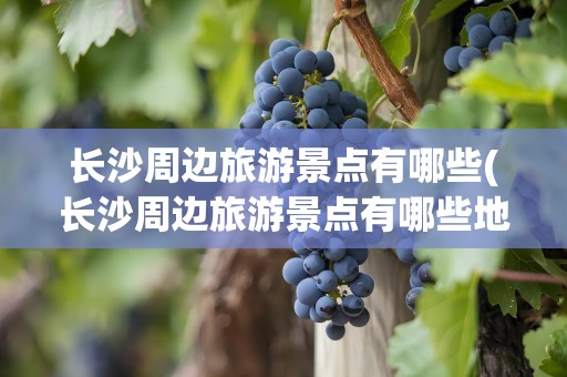长沙周边旅游景点有哪些(长沙周边旅游景点有哪些地方)