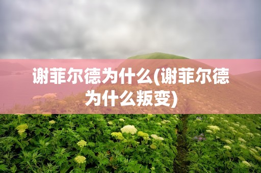 谢菲尔德为什么(谢菲尔德为什么叛变)