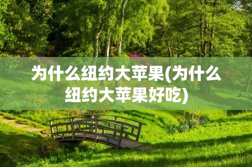 为什么纽约大苹果(为什么纽约大苹果好吃)
