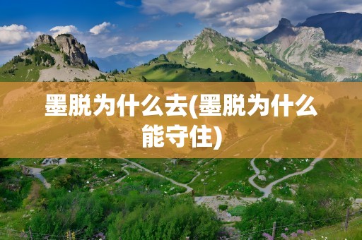 墨脱为什么去(墨脱为什么能守住)
