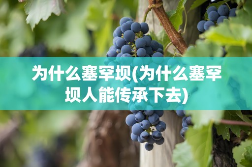 为什么塞罕坝(为什么塞罕坝人能传承下去)