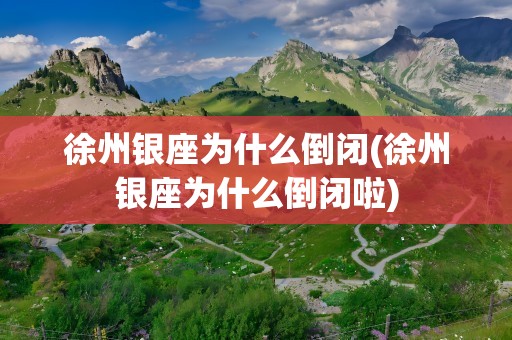 徐州银座为什么倒闭(徐州银座为什么倒闭啦)