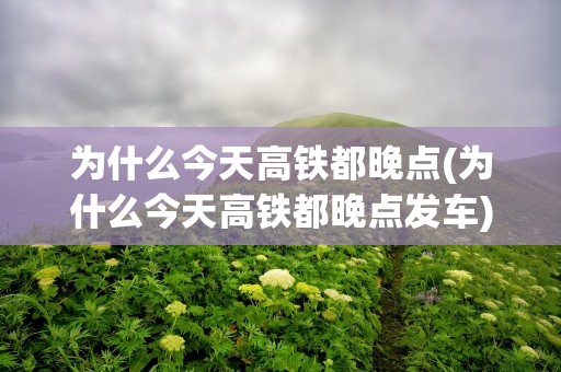 为什么今天高铁都晚点(为什么今天高铁都晚点发车)