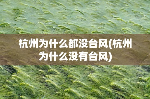 杭州为什么都没台风(杭州为什么没有台风)