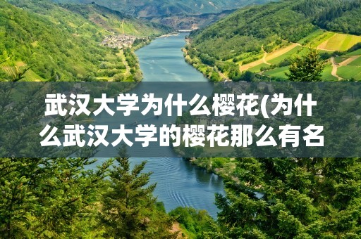 武汉大学为什么樱花(为什么武汉大学的樱花那么有名)