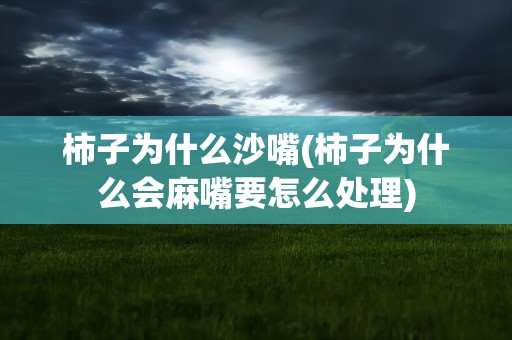 柿子为什么沙嘴(柿子为什么会麻嘴要怎么处理)