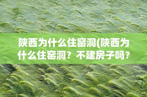 陕西为什么住窑洞(陕西为什么住窑洞？不建房子吗？)