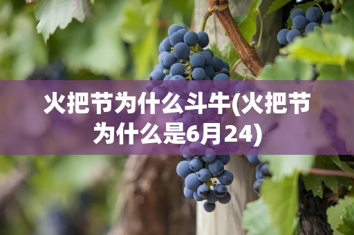 火把节为什么斗牛(火把节为什么是6月24)