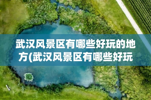武汉风景区有哪些好玩的地方(武汉风景区有哪些好玩的地方推荐)