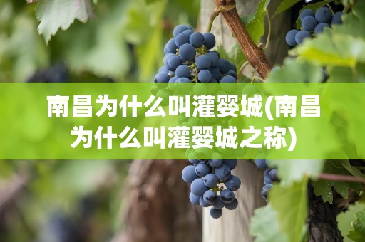 南昌为什么叫灌婴城(南昌为什么叫灌婴城之称)