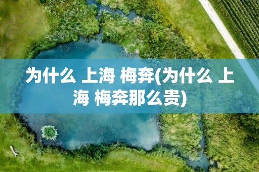 为什么 上海 梅奔(为什么 上海 梅奔那么贵)