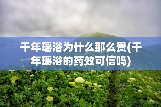 千年瑶浴为什么那么贵(千年瑶浴的药效可信吗)
