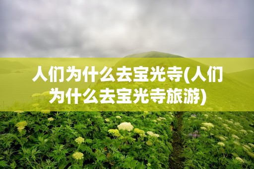 人们为什么去宝光寺(人们为什么去宝光寺旅游)